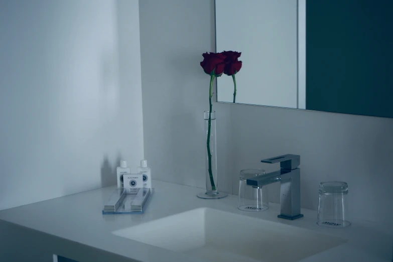 the roses in the bathroom are still on display