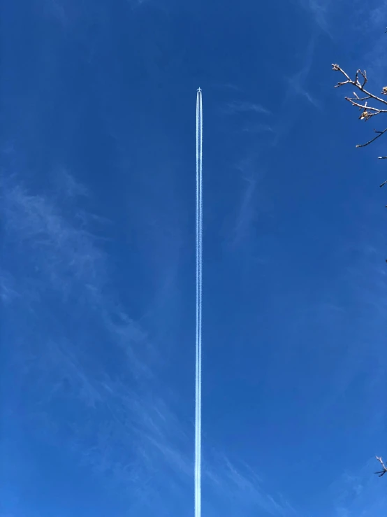 an airplane in the sky near a tree