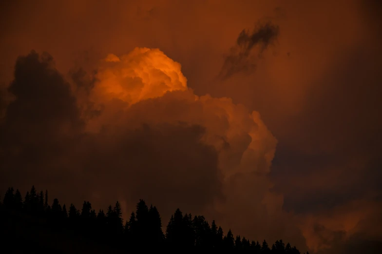 clouds glow in the dark below evergreen trees