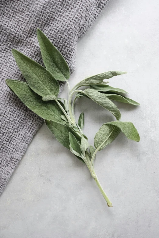 the herbs are laying on the table beside the towel