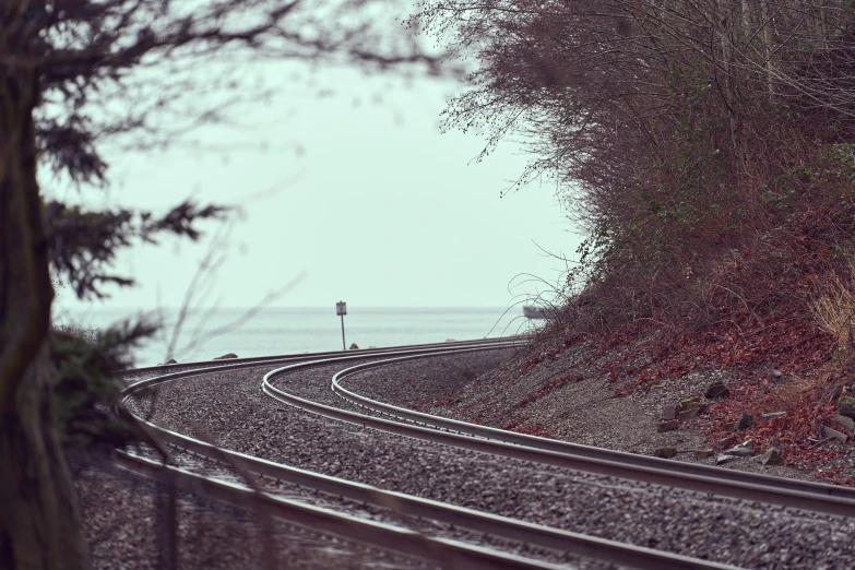 railroad tracks running through an open area with a distant ocean