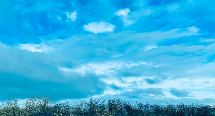 a beautiful cloud covered blue sky above trees