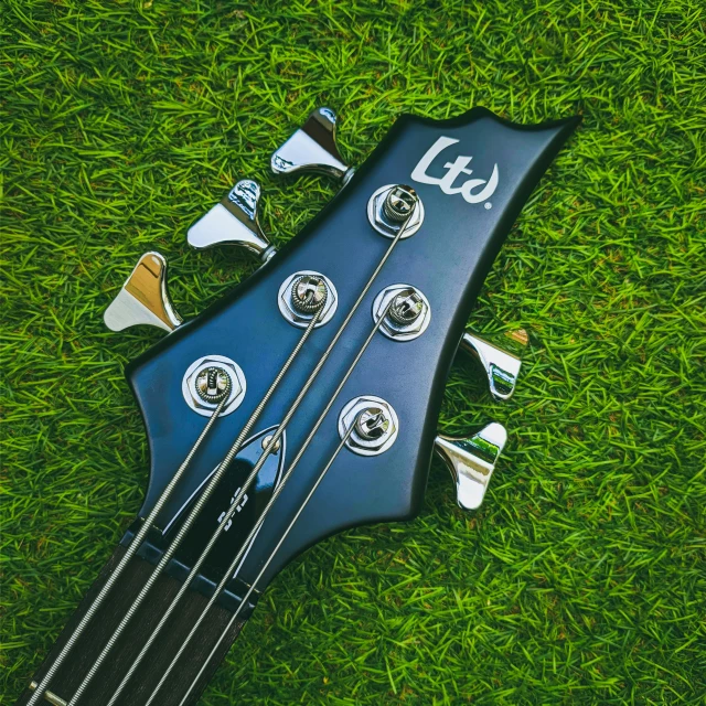 the top of a blue bass bass guitar laying on the grass