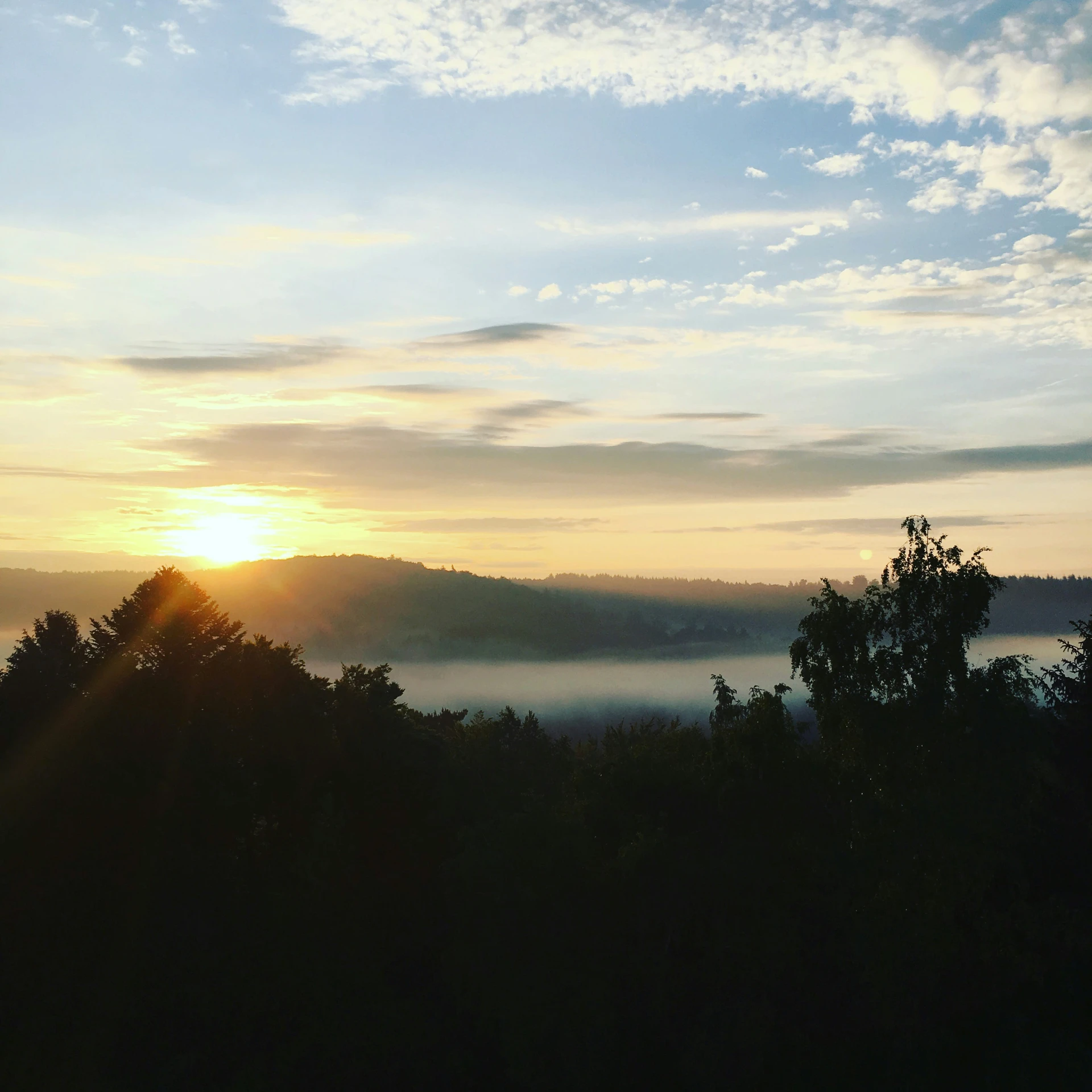 the sun rising over a forest with fog