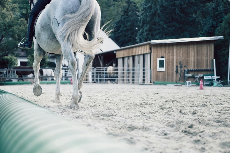 the horse is in the arena with the rider