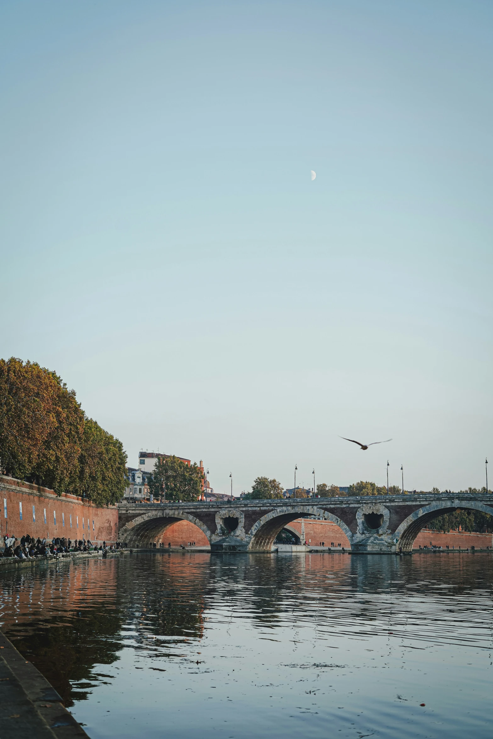 the river is calm and shiny with lots of water