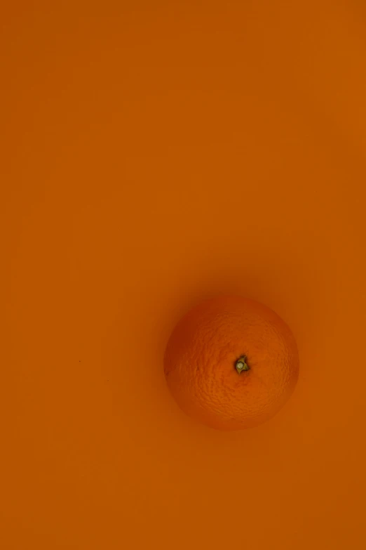 an orange is sitting alone on an orange surface