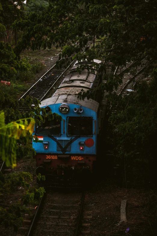 a blue train coming up the tracks under trees