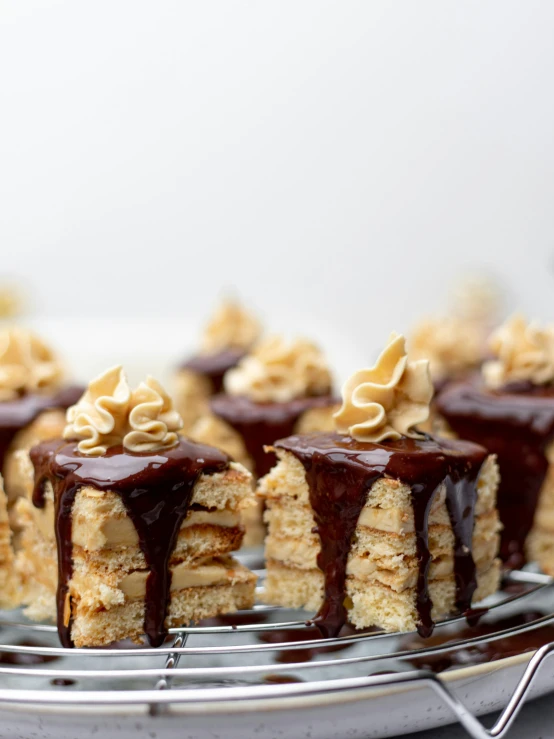 desserts with chocolate and white topping on a plate