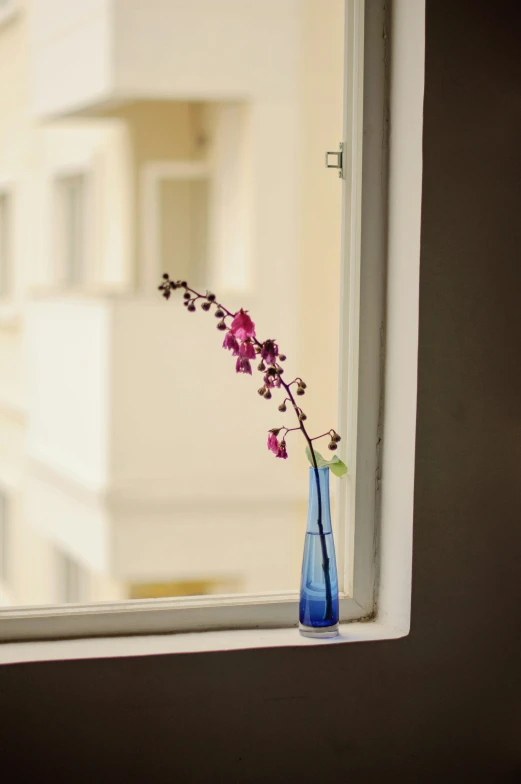 a blue vase filled with flowers on a window sill