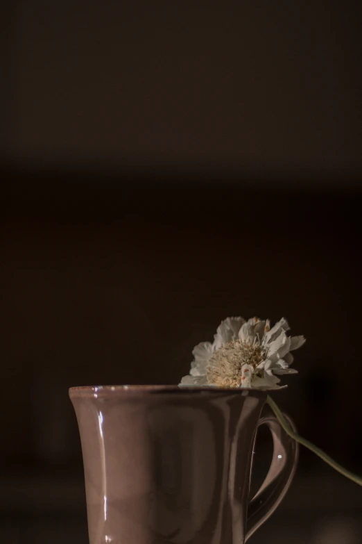 a single flower in a mug with other cups