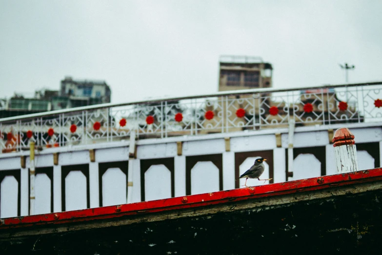 an empty building with red railing and two birds on it