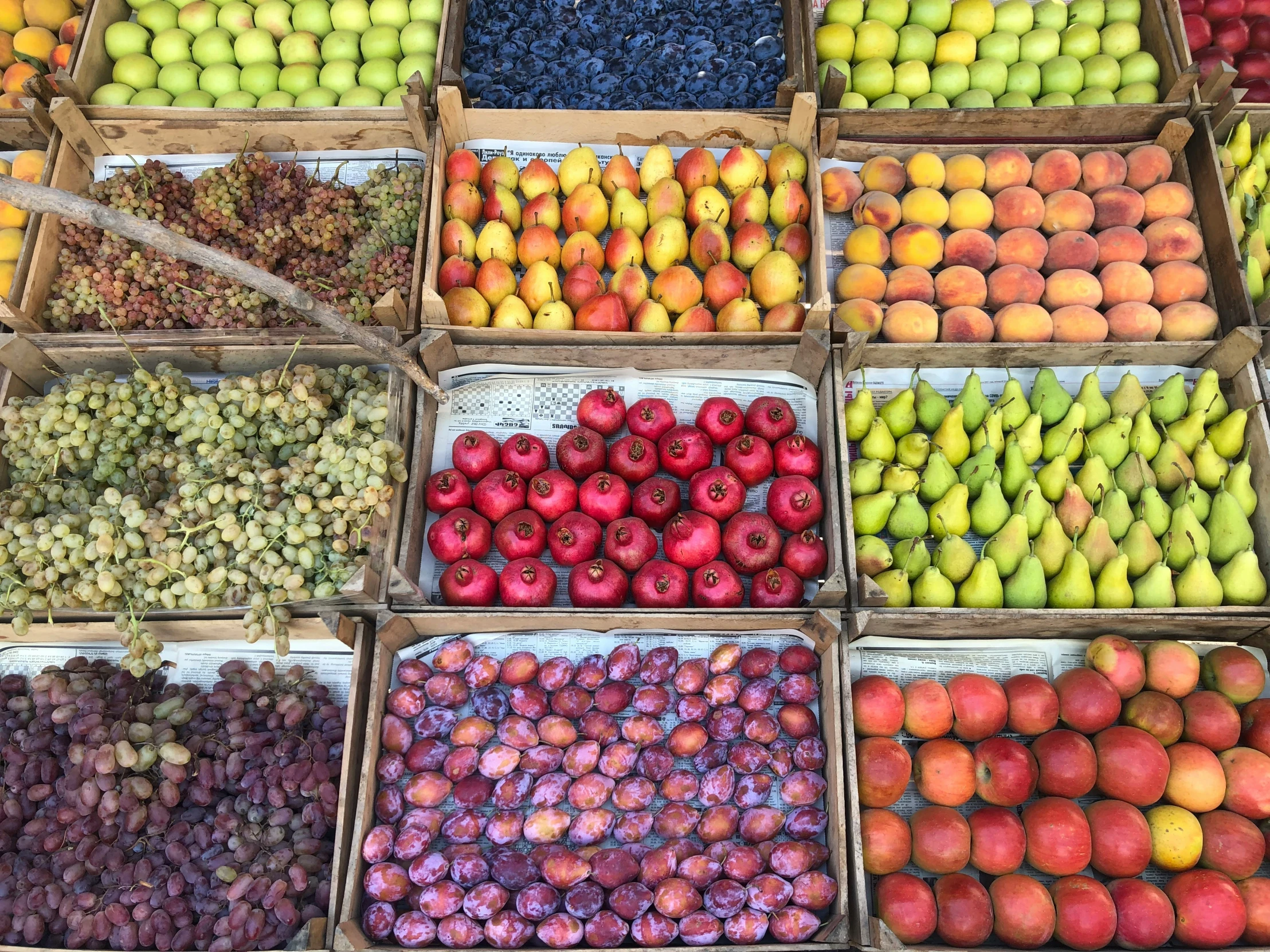 a variety of different kinds of apples and oranges for sale