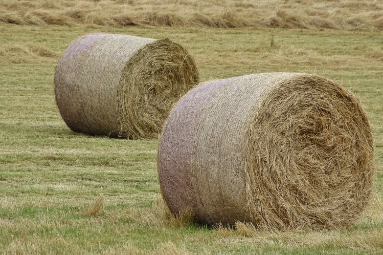 there are two bales of hay sitting in the grass