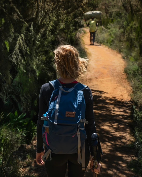 the person with the backpack walks up a path near trees