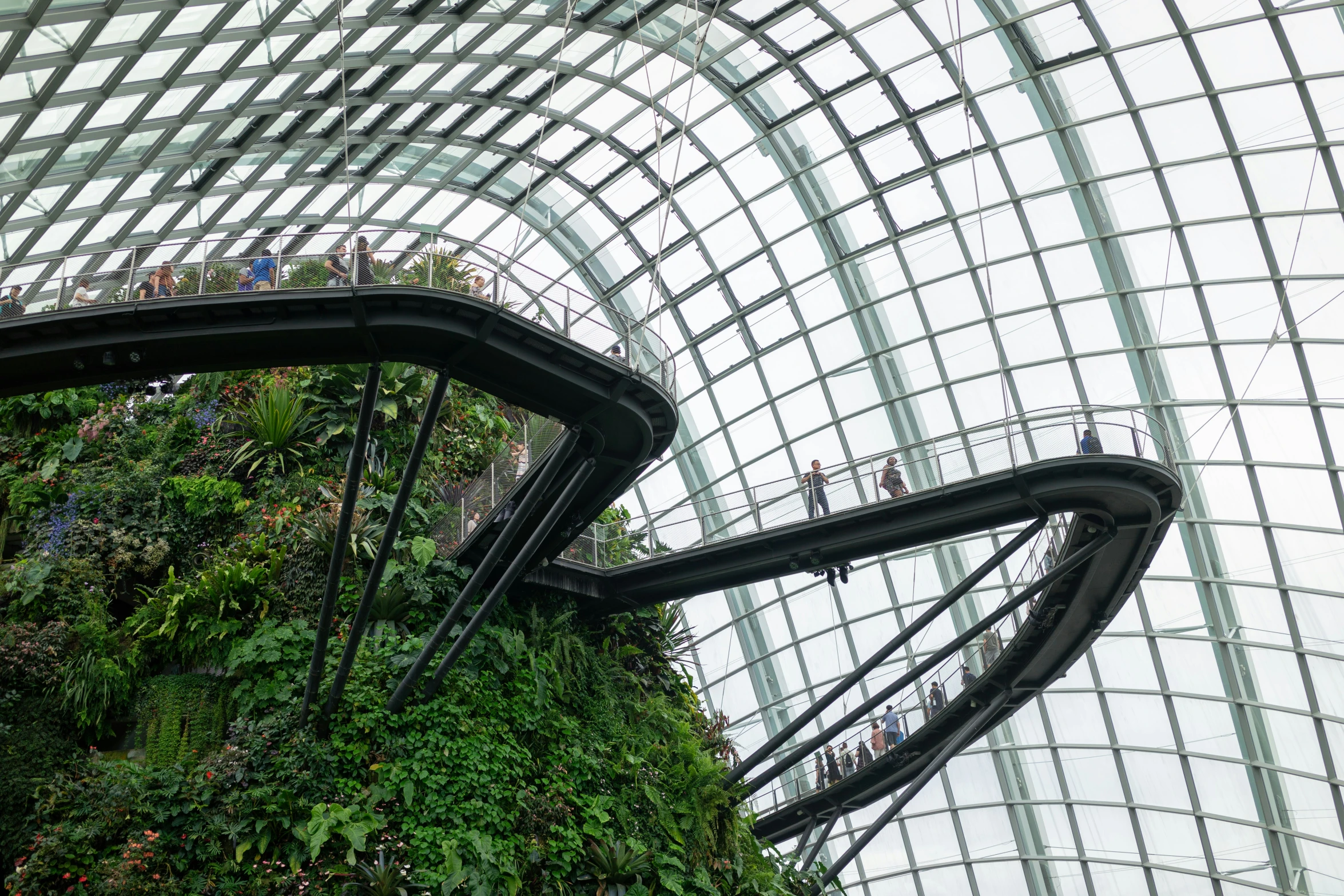 the inside of an indoor plant dome