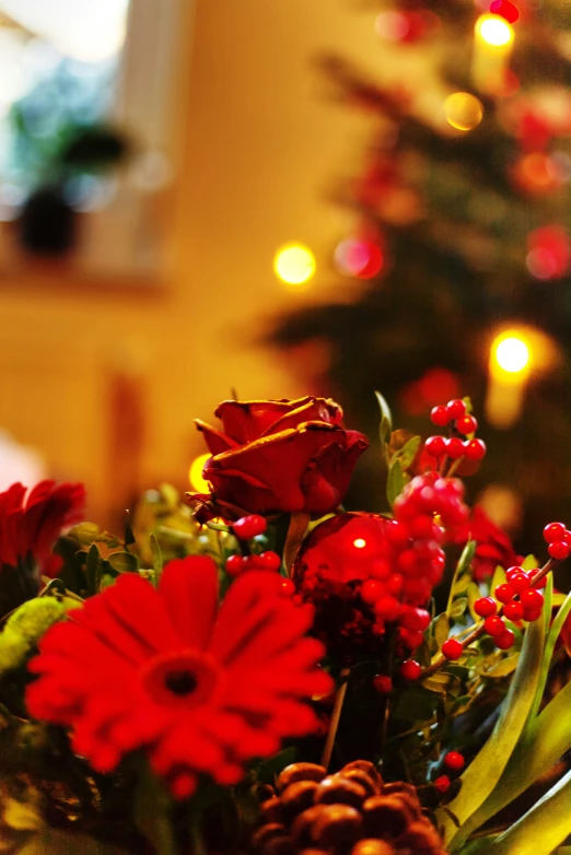 red flowers are in a large glass vase