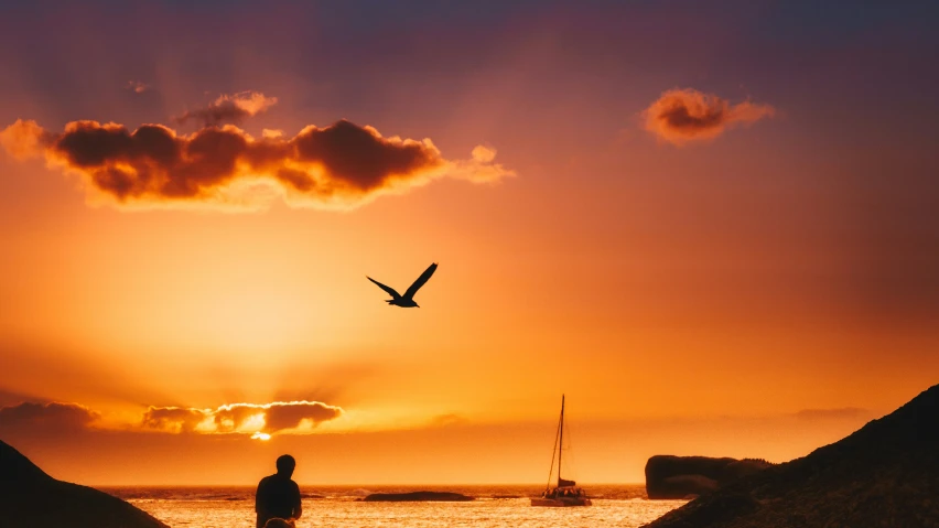 the sun is set behind a beach and a lone person looking at a bird