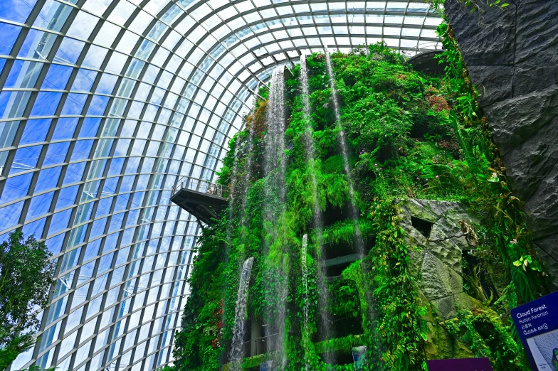 the waterfall garden at gardens by the bay is covered in moss