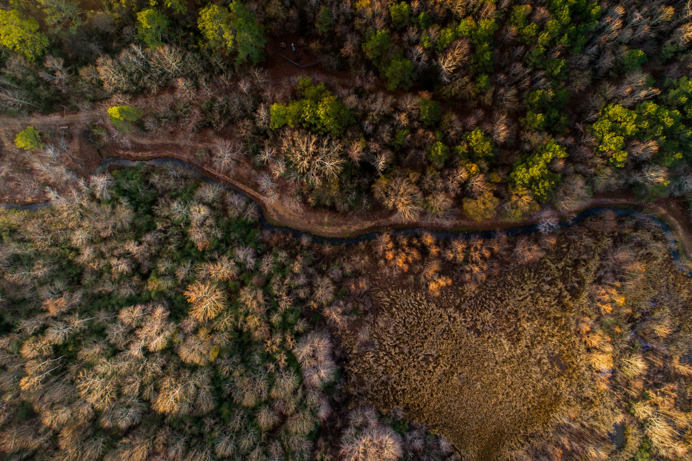 a long view of some trees from above