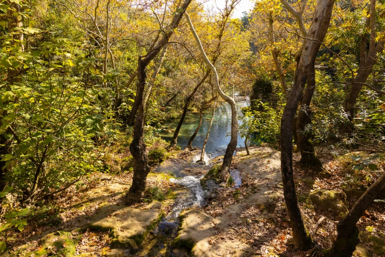 an image of a stream in the woods