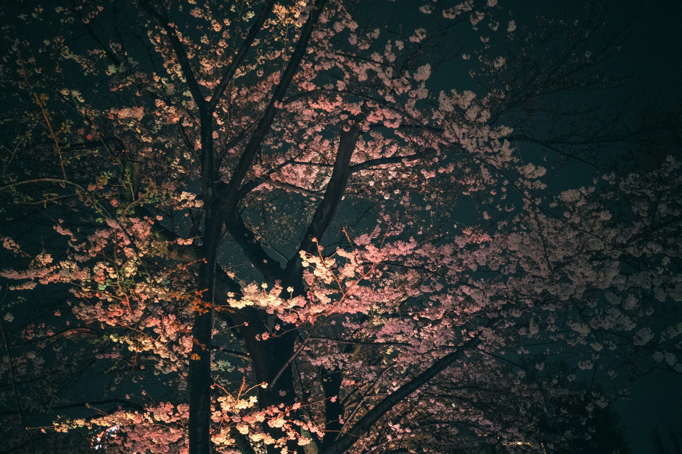 a man is sitting under a tree while holding an umbrella