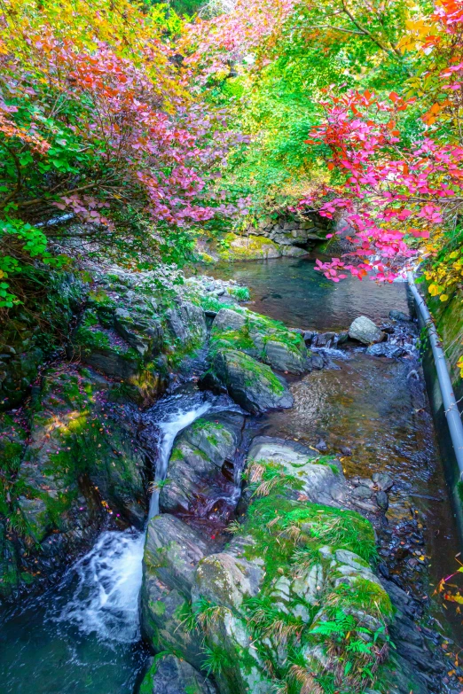 a creek flowing down a lush green hillside