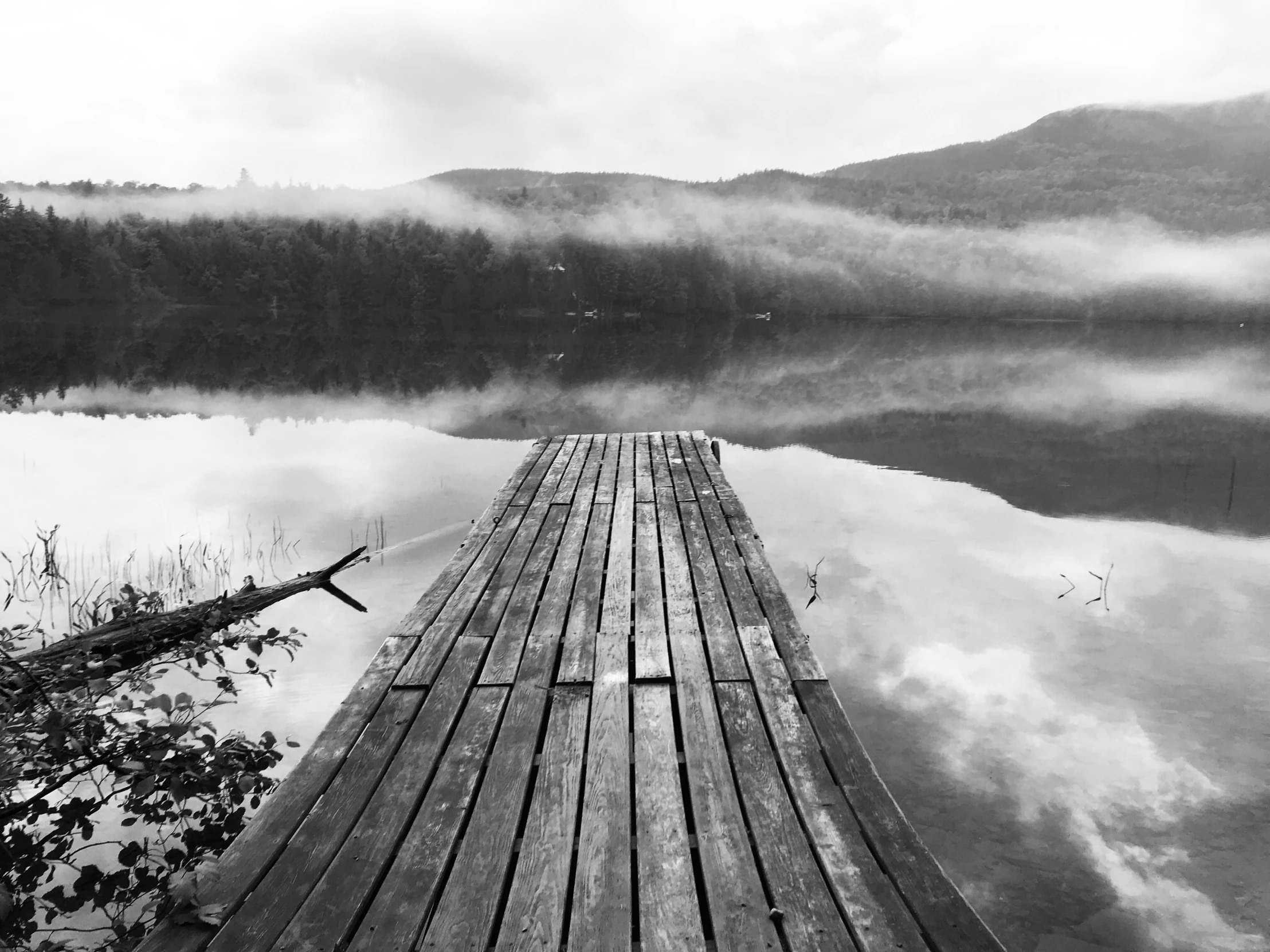 black and white po of a wooden pier over water