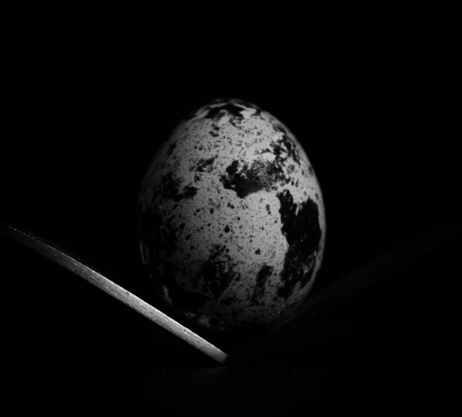 a black and white po of an egg