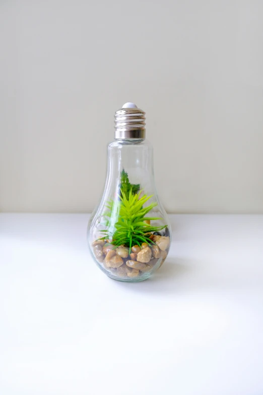 a light bulb filled with plants and rocks