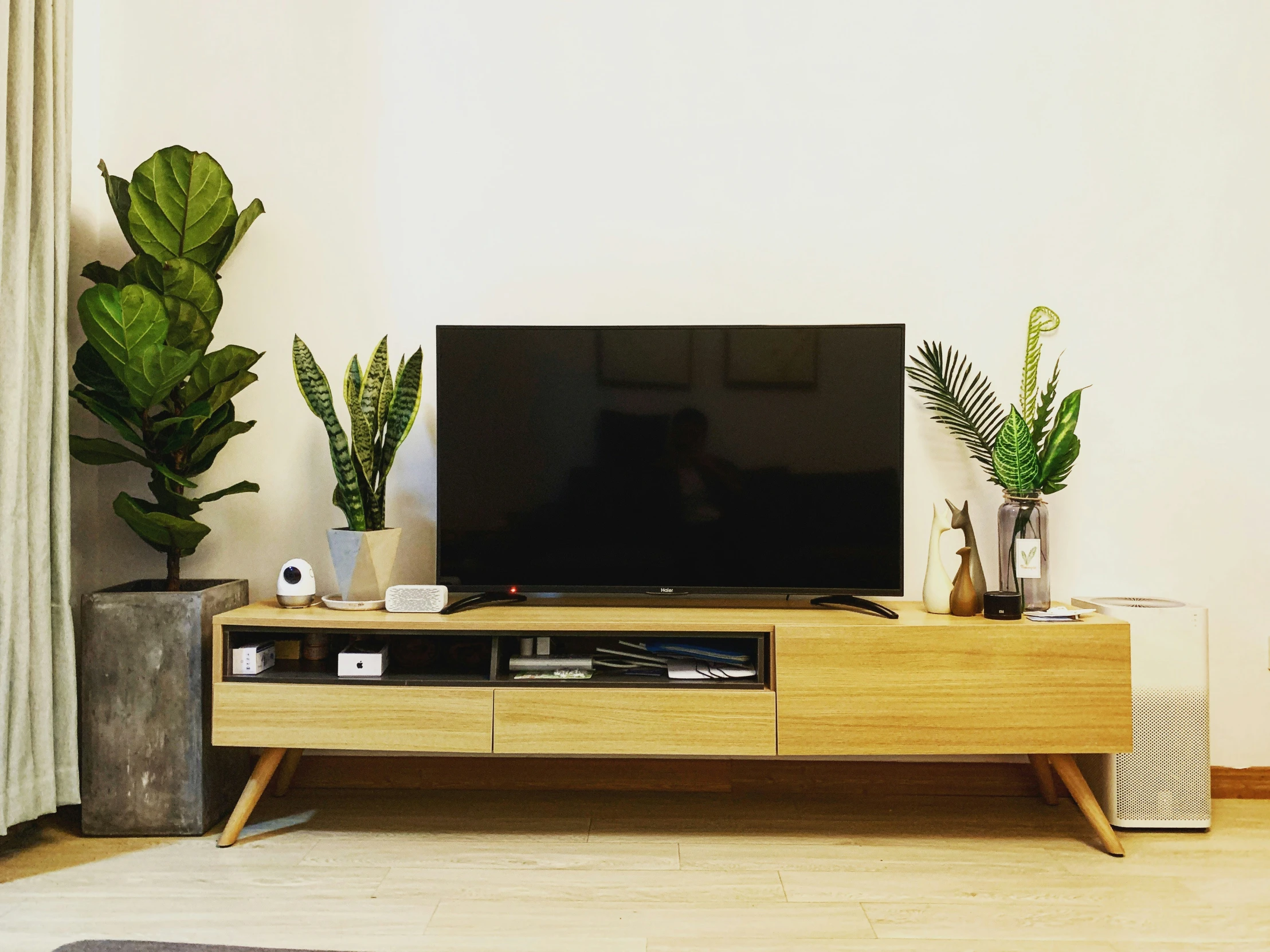 a tv is shown on the table with plants