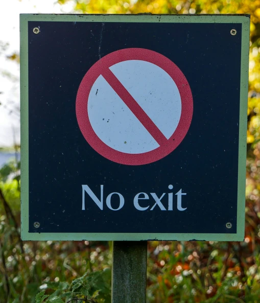 a no exit sign in front of trees with a sky background