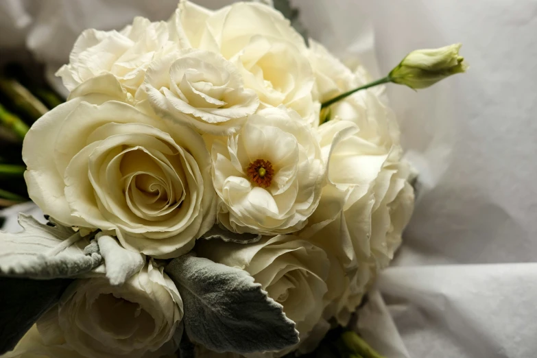 flowers are grouped together with a white background