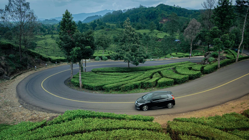 a car is going up the road surrounded by bushes and tea trees