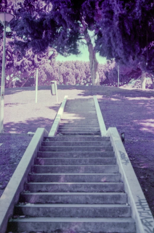 the steps that lead to the water are purple