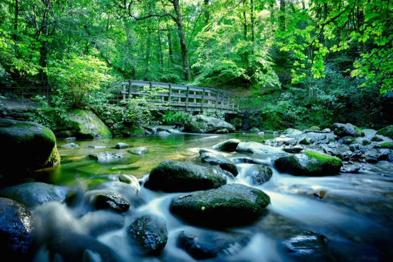 small wooden bridge spanning the width of a mountain stream