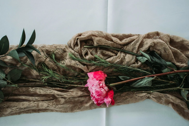 a rose and a plant partially lying on a cloth