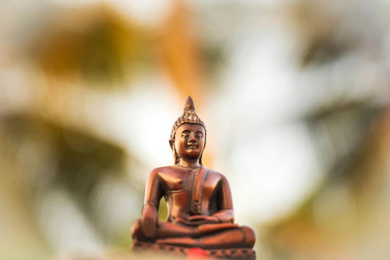 a buddha figurine sits in the foreground