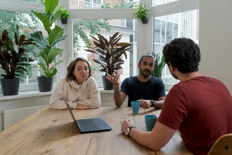 three people at a table with a laptop and plants