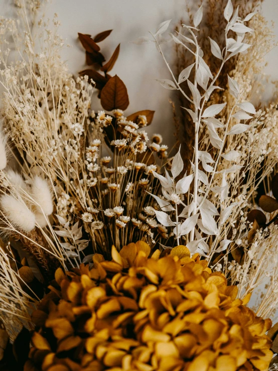 there are many dry flowers on the wall