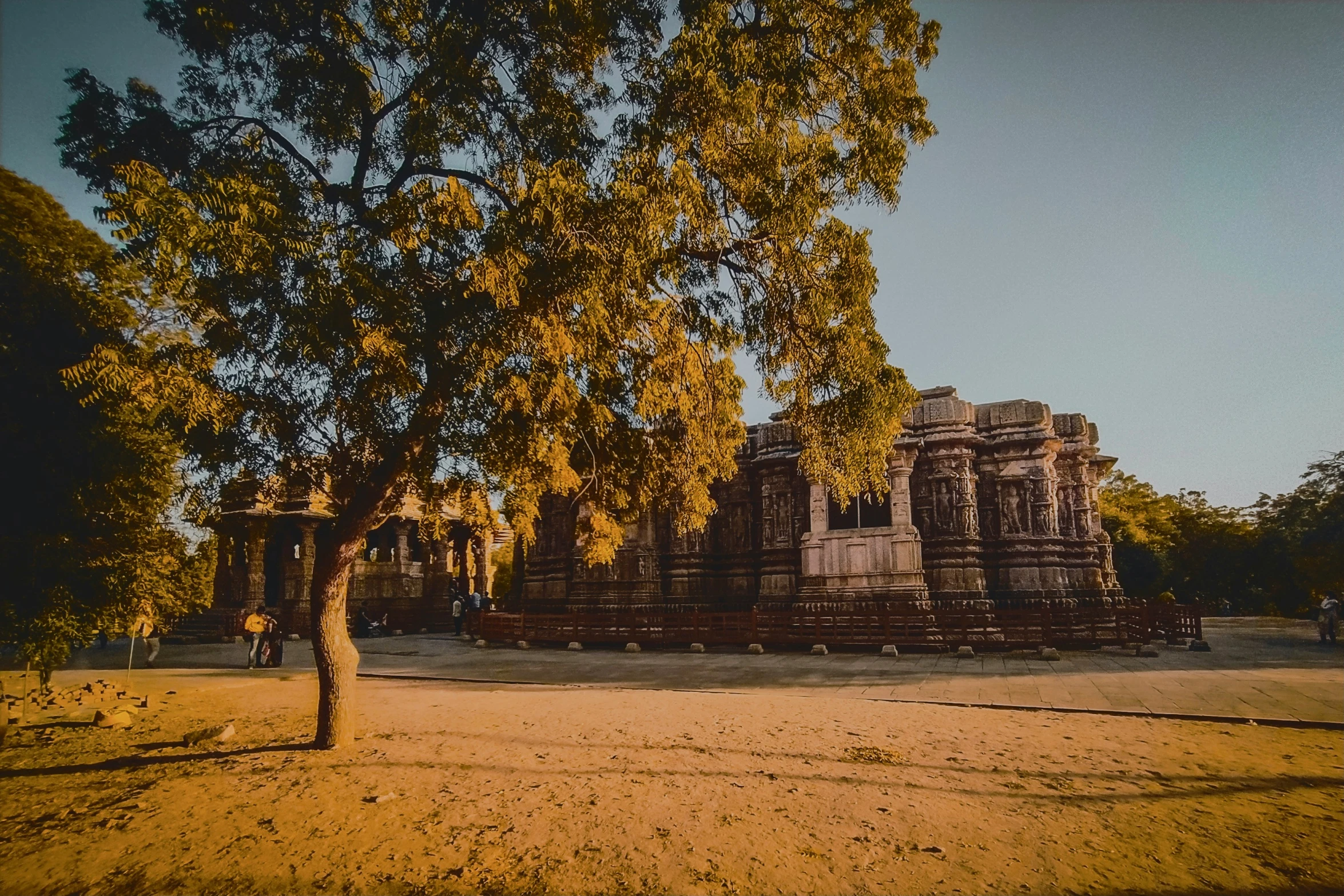 the tree is next to the bricked building