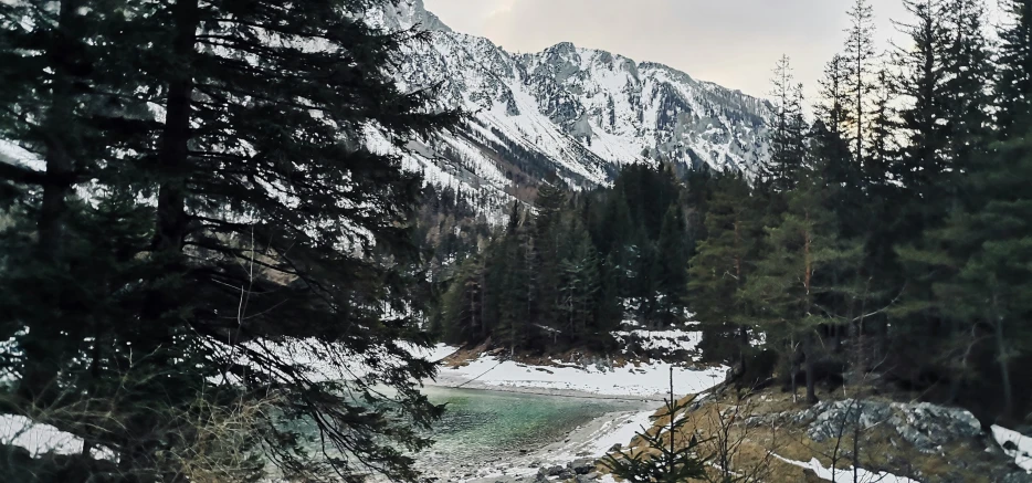 a river running past a forest filled with lots of snow