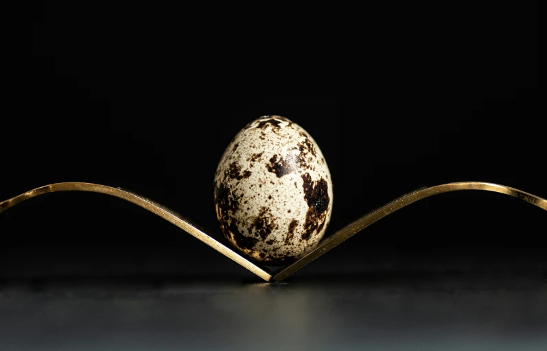 an egg that has been set on a wire