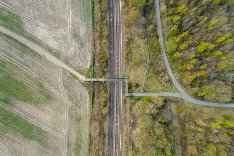 a train crosses an intersection surrounded by trees