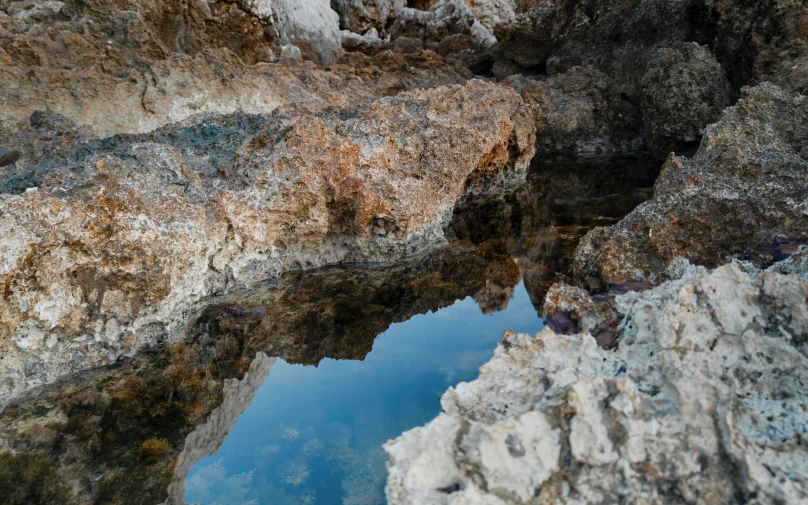 a close up of the surface of a rock wall with water