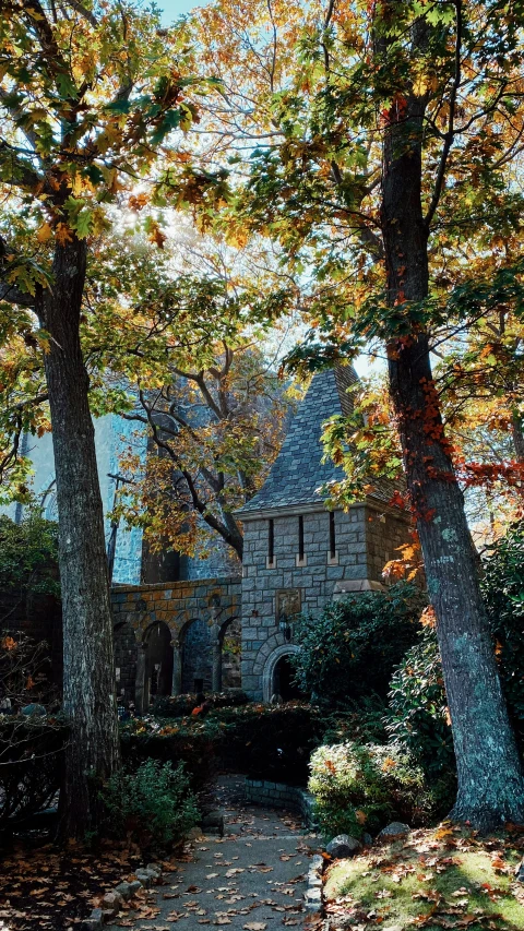 the trees are in their autumn colors along the sidewalk