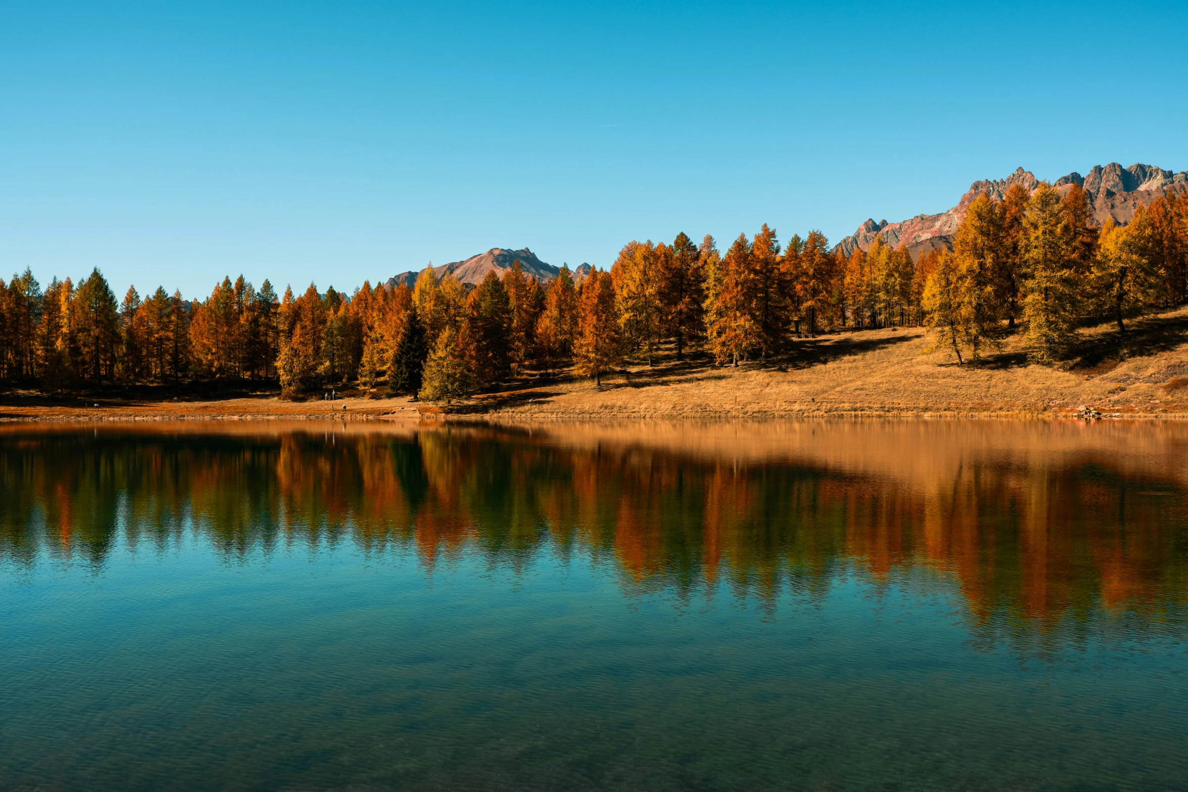 a view from a lake looking out at some trees