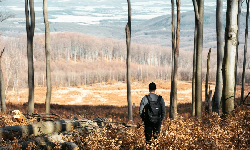 a man in the woods looking at some trees