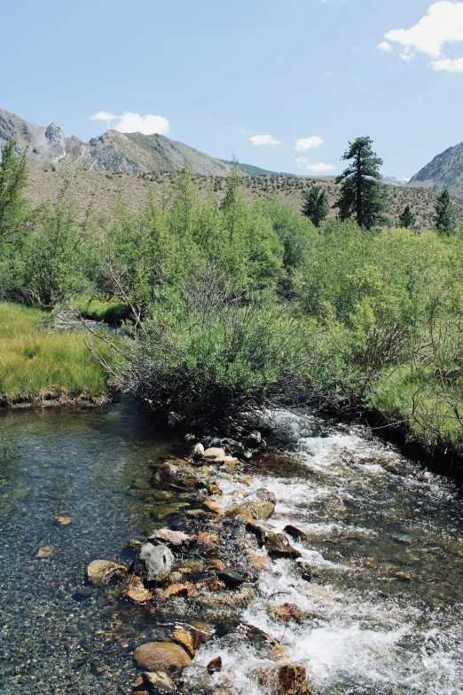 a small stream flowing through the mountains