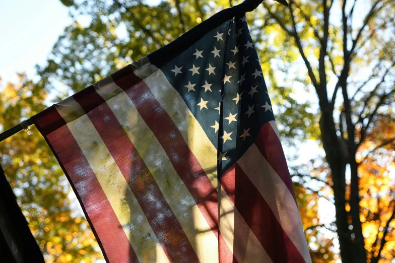 an american flag hanging on a line next to a tree